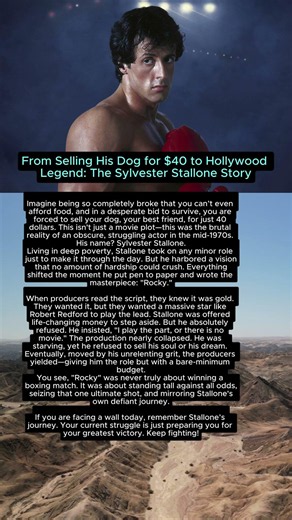 From Selling His Dog for $40 to Hollywood Legend: The Sylvester Stallone Story