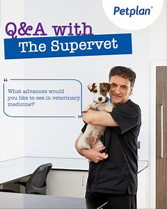 There have been many advances in veterinary medicine over the years. We asked Professor Noel Fitzpatrick to share what other advances he would like to see in the industry 👇 | Petplan UK