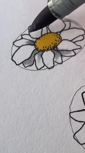 72K views · 1.9K reactions | Beautiful Daisies Tutorial REUP #flowers #flowerdrawing #daisies #drawing #art #howtodraw #learntodraw #drawingtutorial #lifehacks #reelsfb #viralvideo | CrescentArts | Facebook