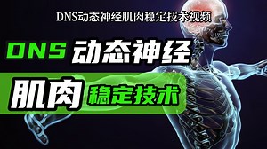 DNS动态神经肌肉稳定技术视频
