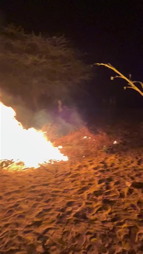 Rajhestani (@rajhestani3)’s videos with original sound - Rajhestani