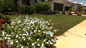 12 thousand homes in the next 20 years - that's the number needed to combat homelessness and deliver affordable housing. Industry and government experts gathered at a conference in Darwin today to address the Territory's housing challenges, which are considered the toughest in the nation. | 9 News Darwin