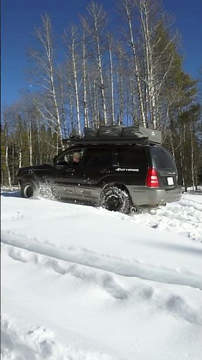 Which Subaru Wins in Deep Snow? Crosstrek vs Forester