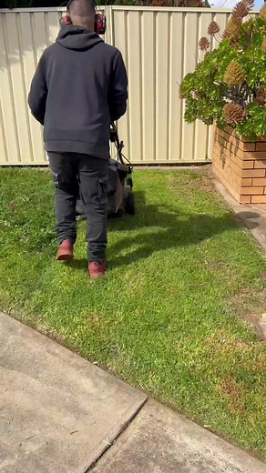 Transforming overgrown to outstanding! Watch this lawn get its much needed makeover! 🌿✨ #LawnGoals #BeforeAndAfter Service with a Smile 😃 #frankthelawnmowerman #lawn #lawns #lawncare #lawnmaintenance #lawncollection #lawnmowing #lawnservice #gardening #gardendesign #gardeninspiration #gardenlove #greengrass #landscape #landscaping #adelaide #southaustralia #oddlysatisfying #satisfying #LawnLovers #GardenGoals #BeautifulGardens #OutdoorSpaces #NaturalBeauty #HomeGarden #BotanicalGarden #UrbanGa