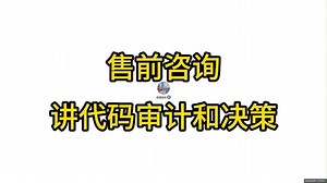 售前咨询 讲代码审计和决策