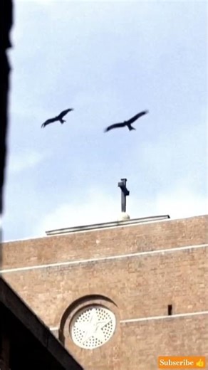 Delhi University North campus |Motivation |St.Stephen's College | |College campus |Cuet 2026 |#du#fy