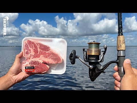Fishing w/ STEAK to Catch HUGE Fish Fast! Catch / Clean / Cook (Surf and Turf)