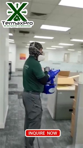 𝙎𝙚𝙧𝙗𝙞𝙨𝙮𝙤𝙣𝙜 𝙈𝙖𝙗𝙞𝙡𝙞𝙨 𝙖𝙩 𝙀𝙥𝙚𝙠𝙩𝙞𝙗𝙤! General Pest Control Termite Control (Post and Pre-construction) Disinfection and Sanitation Services (Office, Residential and Vehicle) 𝙏𝙚𝙧𝙢𝙖𝙭𝙋𝙧𝙤, 𝙏𝙖𝙩𝙖𝙠 𝙋𝙍𝙊𝙩𝙚𝙠𝙩𝙖𝙙𝙤! #termaxpro #pestcontrolphilippines #termites #termitecontrol #BicolPestControl 𝙋𝙍𝙊𝙑𝙀𝙉 𝙏𝙀𝙍𝙈𝙄𝙏𝙀 𝙋𝙍𝙊𝙏𝙀𝘾𝙏𝙄𝙊𝙉 with up to 𝟮 𝙔𝙚𝙖𝙧𝙨 𝙒𝙖𝙧𝙧𝙖𝙣𝙩𝙮. We will find and kill the " Termite Queen" #TermiteControlServices PUKSAIN ANG IP