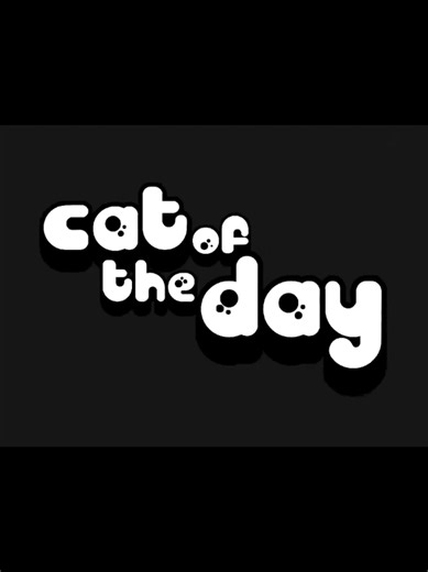 Back to our regularly scheduled Cat of the Day. I hope this is what this person asked for lol Cryptid of the Day 38: Hat Man requested by Ivybanks-i2e on Youtube #cryptid #hatman #shadowperson #shadowpeople #catoftheday