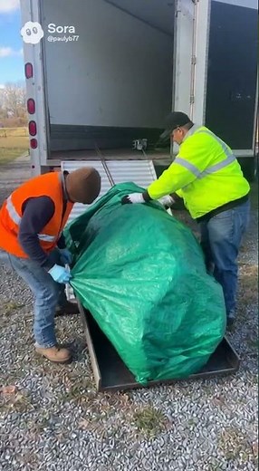 DEAD LIVESTOCK REMOVAL BURLINGTON COUNTY NJ (732) 600-1974 DEAD LIVESTOCK REMOVAL BURLINGTON COUNTY