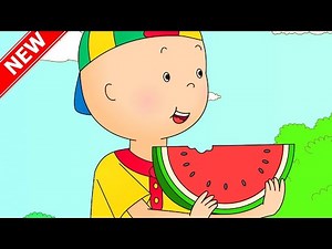 CAILLOU AT THE PICNIC | Caillou New Adventures | Cartoons for Kids | WildBrain Bananas