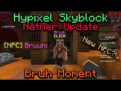 This NPC Sells FAIRY SOULS (Nether Update) (Hypixel Skyblock)