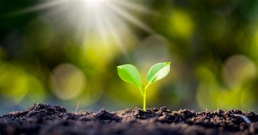 Social Innovation: Beyond the Sustainable Development Goals