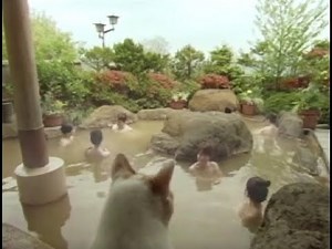 リクルート じゃらん CM 女湯