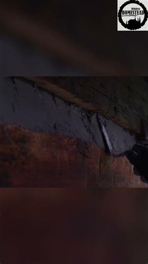 Chinking a Log Cabin Like a PRO! #shorts