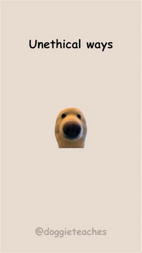 @doggieteaches | Doggie Explains Unethical Ways to Make Money — Part 20 (Satire) Step one — set up a “lost and found” but keep a “finder’s fee” for your... | Instagram