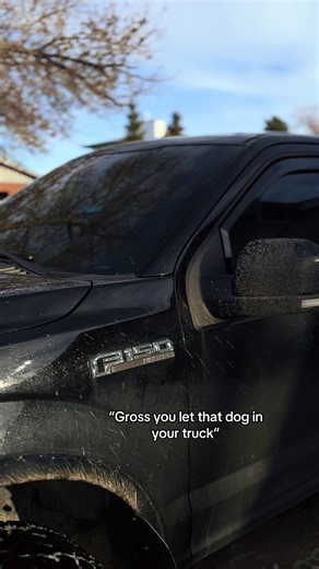 Lil homie❤️. #fyp #foryoupage #trucktok #trucksoftiktok #rizzemwitthetism #pimp #lifechoices #fordf150 #tiswheels #rocklights #redbull #loyalty #hoe #rideordie