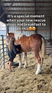 4.7K views · 22K reactions | I know it’s a pretty controversial topic...