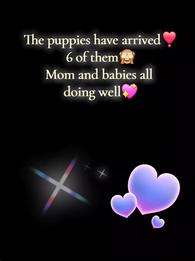 Denise Edwards Gen❌️ on TikTok