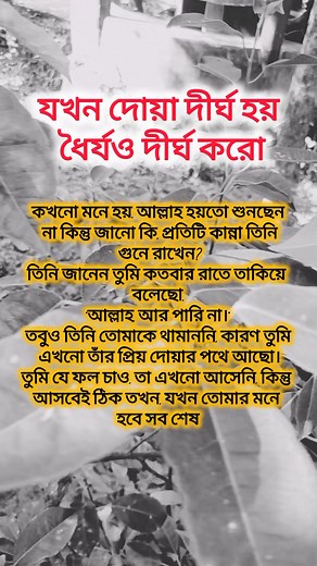 The history of #photography began with the discovery of two critical principles: The first is camera obscura image projection, the second is the discovery that some substances are visibly altered by exposure to light [2]. There are no artifacts or descriptions that indicate any attempt to capture images with light sensitive materials prior to the 18tBegan with the discovery of two critical principles: The first is camera obscura image projection, the second is the discovery that some substances 