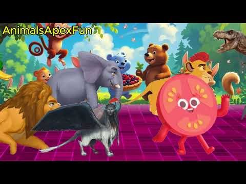 WILD Animal Stampede Caught on Camera?