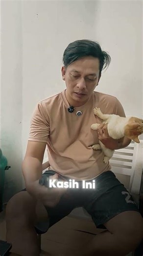cat treatment using shampoo