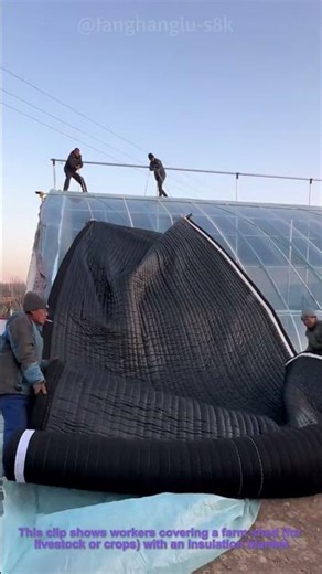 Greenhouse Insulation Installation: Covering Farm Shed with Insulation Blanket