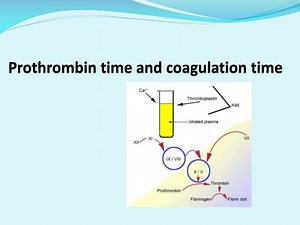 Prothrombin time and coagulation time - SlideServe