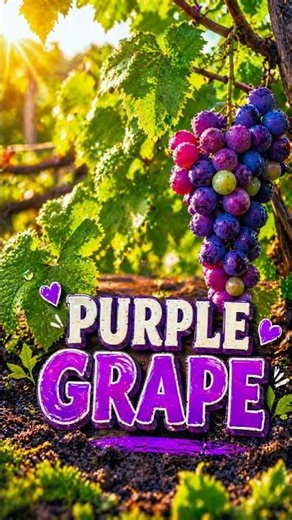 Grape - Timelapse from Flower to fruit #GrapeTimelapse #garden #PlantGrowth