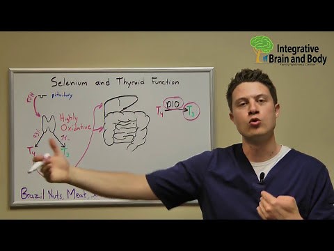How Important is Selenium for Thyroid Function?