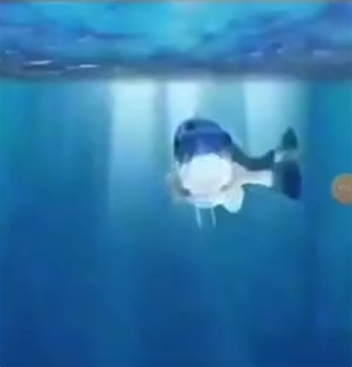 Funny Fish Sound Compilation