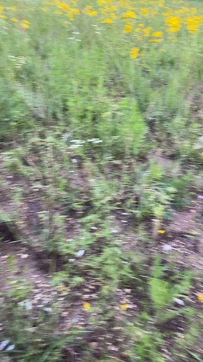 Our periodic table with real elements 👀