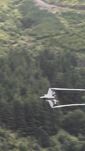 Reaper Flight down low | Tom Whitworth Photo