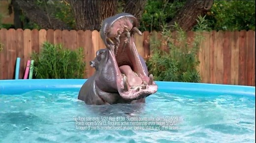 Kmart TV Spot, 'Hippo'