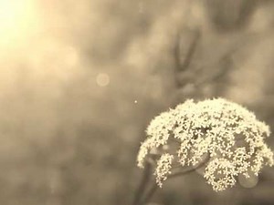 Illusion-Gregory Porter