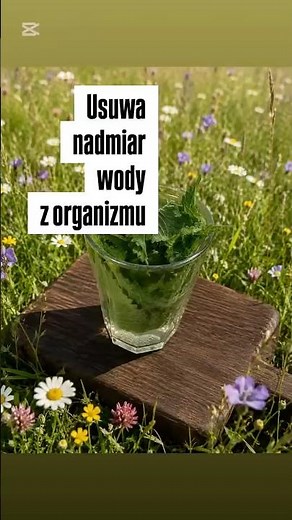 Nadmiar wody w organizmie, usuwanie toksyn, pokrzywa