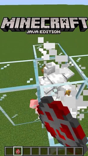 Diferencias entre Minecraft Java y Minecraft Bedrock #8