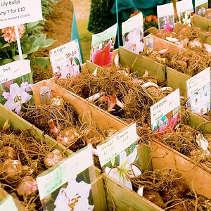 2.5K views · 833 reactions | Tickets are selling fast for  RHS Flower Show Tatton Park  19–23 July Inspiring gardens celebrating the North West Fabulous floral demos & displays Expert talks & workshops Awesome allotments plus mega fruit & veg Excellent plant shopping Food, drink, live music & unmissable summer vibes | RHS - Royal Horticultural Society | Facebook