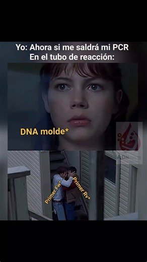 ADNtrate on Instagram: "Los dímeros de primers son productos no deseados que se forman cuando los cebadores se pegan entre sí en lugar de unirse al DNA molde, debido a regiones complementarias, especialmente en sus extremos 3’. Esta unión errónea puede amplificarse durante la PCR, lo que reduce la eficiencia de la reacción al consumir primers y nucleótidos, y puede generar bandas inespecíficas. Para evitarlo, se deben diseñar primers sin complementariedad mutua y optimizar las condiciones de la