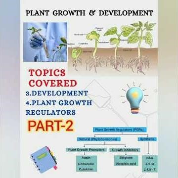 Plant Growth and Development|Class-11th Biology|Class Notes#botanylovers#education#biology#plants###