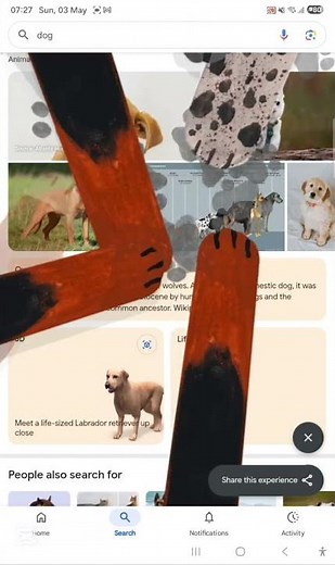 Hidden Easter eggs on google PART-24 @elgoog