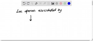 SOLVED:Lac operon was elucidated by (a) Watson, Crick (b) Jacob, Monod (c) Johansson (d) Miescher