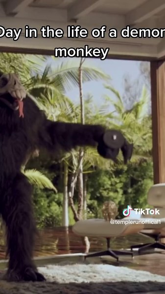 demon monke #templerun #demonmonkey