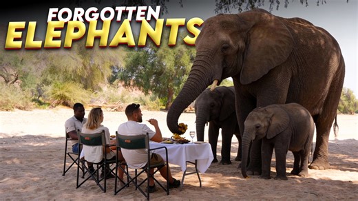 Why Damaraland is a must-visit in Namibia: A wild adventure awaits