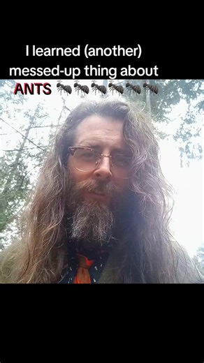 Rabbit holes in the ant farm... #nature | trix cereal ants