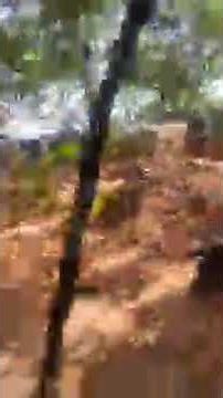 Live highlight ladies picnic ladies picnic, ladies picnic outdoor game#shorts picnic#live#streaming