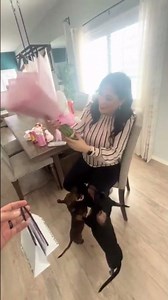 What an amazing surprise #ValentinesDay #valentines... #Shorts #desi_court_reporter