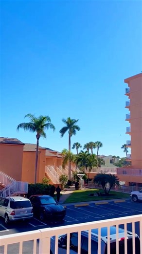 Yesterday, 13 of our white doves were released in St. Pete to honor Kesh’s memory. His mother, Savvy, and his brother, Dino, were there to release them in a beautiful tribute filled with love and strength. Thank you for allowing us to be part of such a meaningful moment. May these doves carry peace, comfort, and healing to the whole family. 🤍🙏🕊️ | Laura's White Dove Release