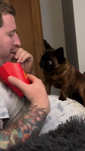 Dottie's Adorable Fries Adventure