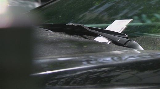 California teen made fake parking tickets in scam to collect payments, police say